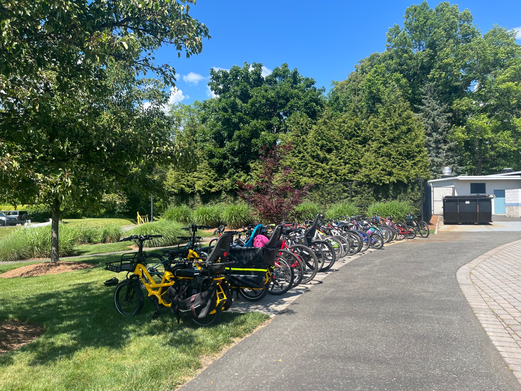 Dozens of bikes parked along a path in front of the New Providence town pool on a sunny June day